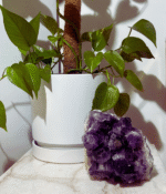 Amethyst Cluster - Image 6