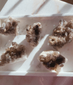 Smoky Quartz Cluster - Image 3