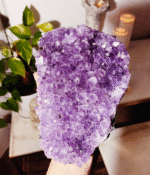 Amethyst Cluster - Image 5