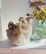 Smoky Quartz Cluster 150