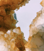 Citrine Portal - Image 5