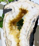 Citrine Portal - Image 3