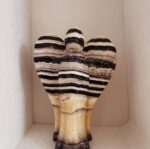 Zebra Calcite Angel - Image 3