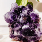 Amethyst Cluster
