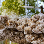 Desert Rose Selenite - Image 5