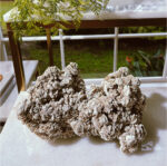 Desert Rose Selenite - Image 2