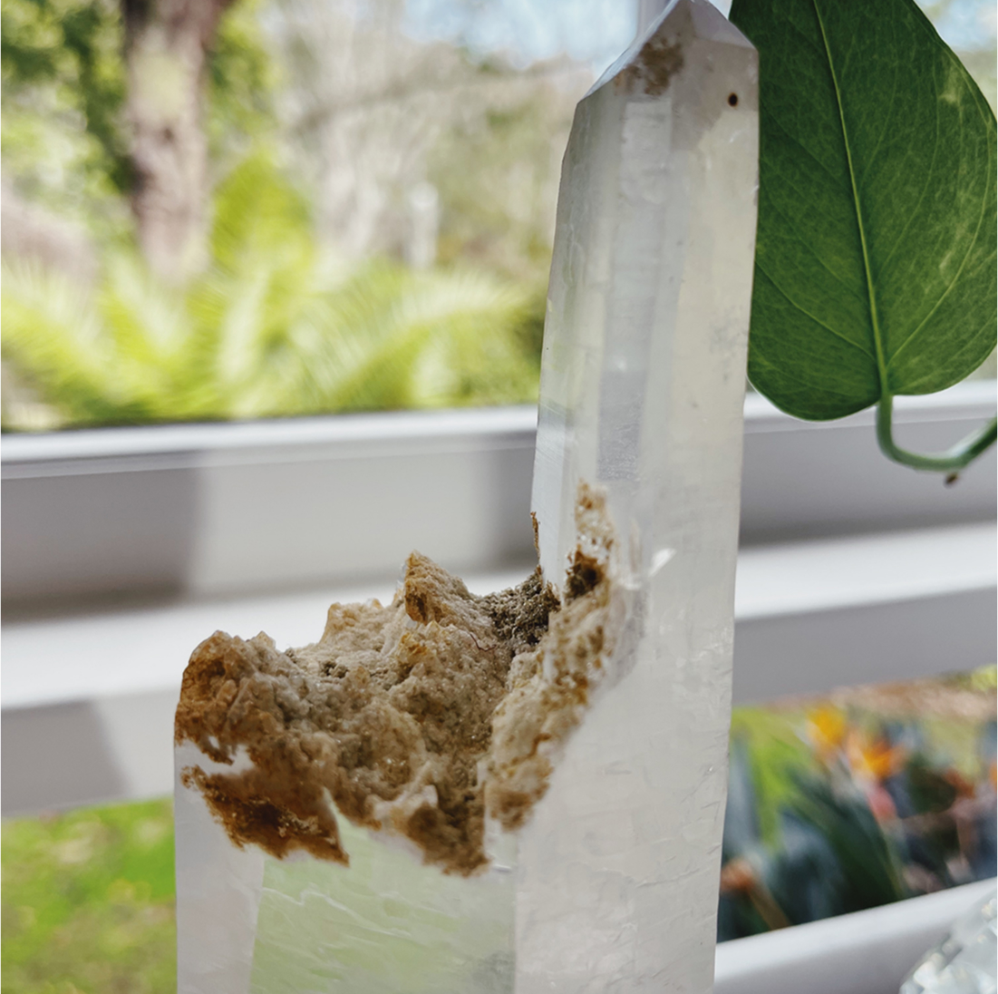 Lemurian Quartz Point on Stand