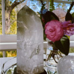 Lemurian Seed Quartz - Image 4