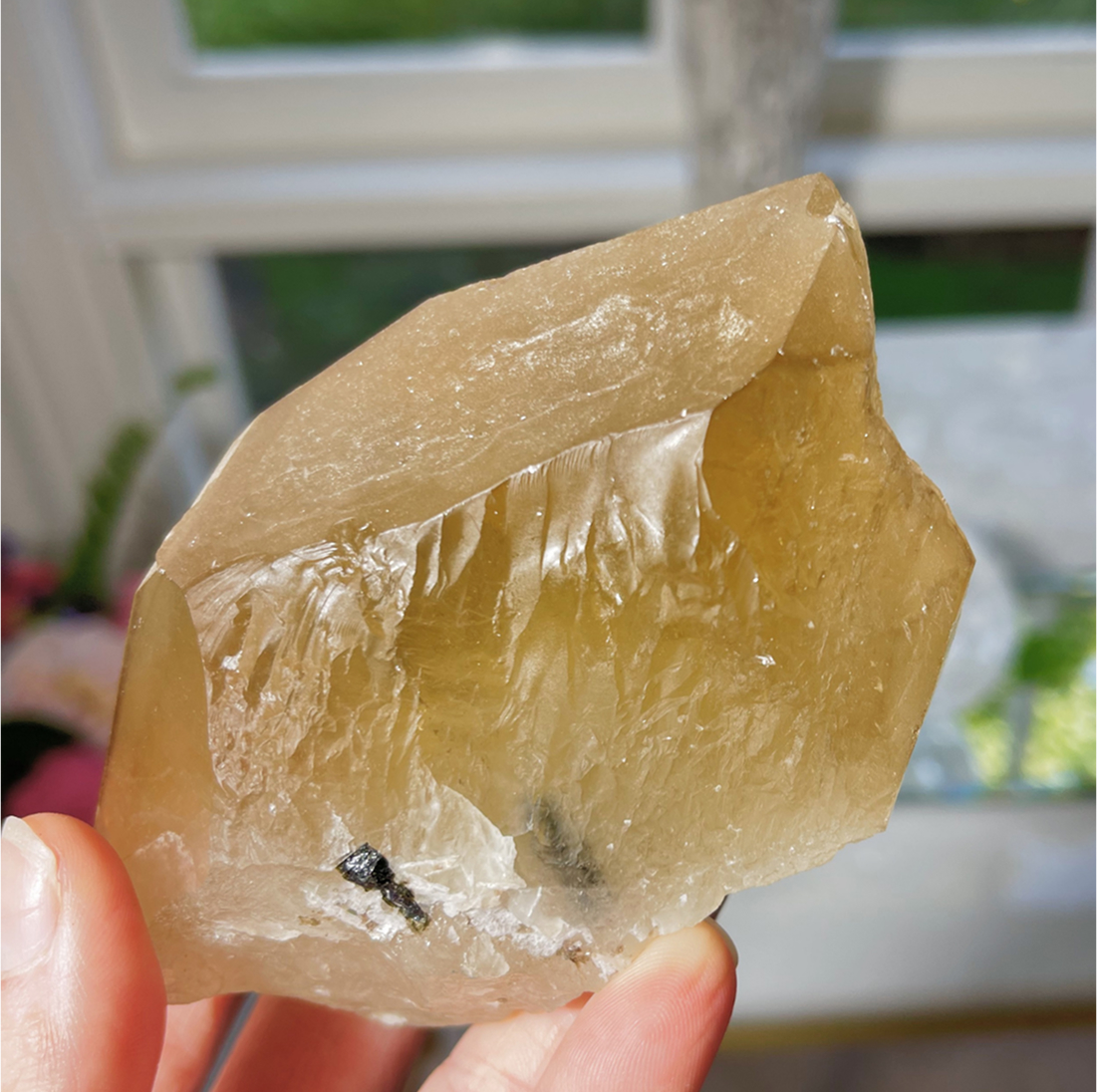 NC001 Natural Citrine Point $80