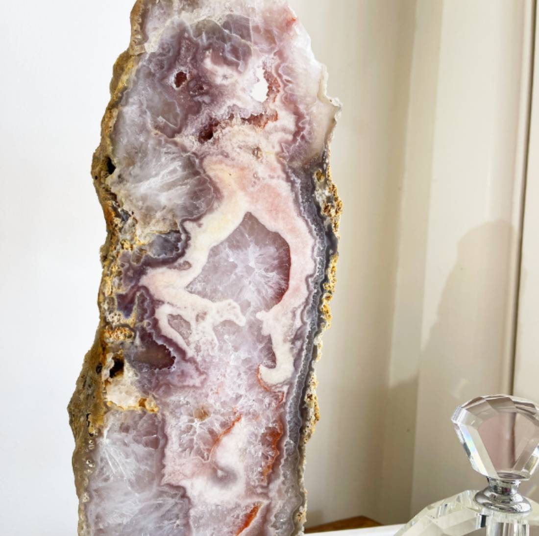 New Project (1) (31)