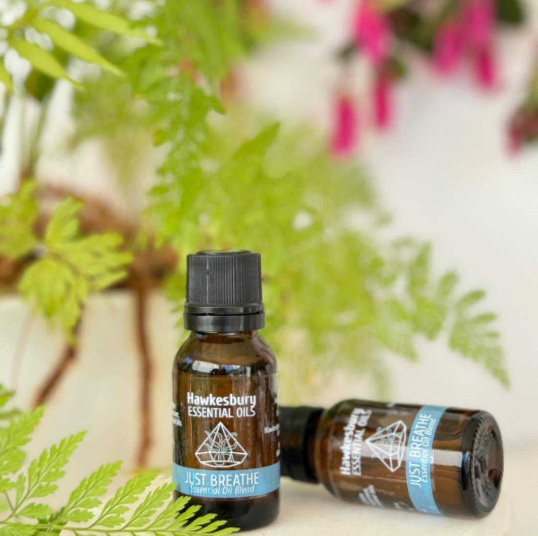 New Project (1) (5) (10)