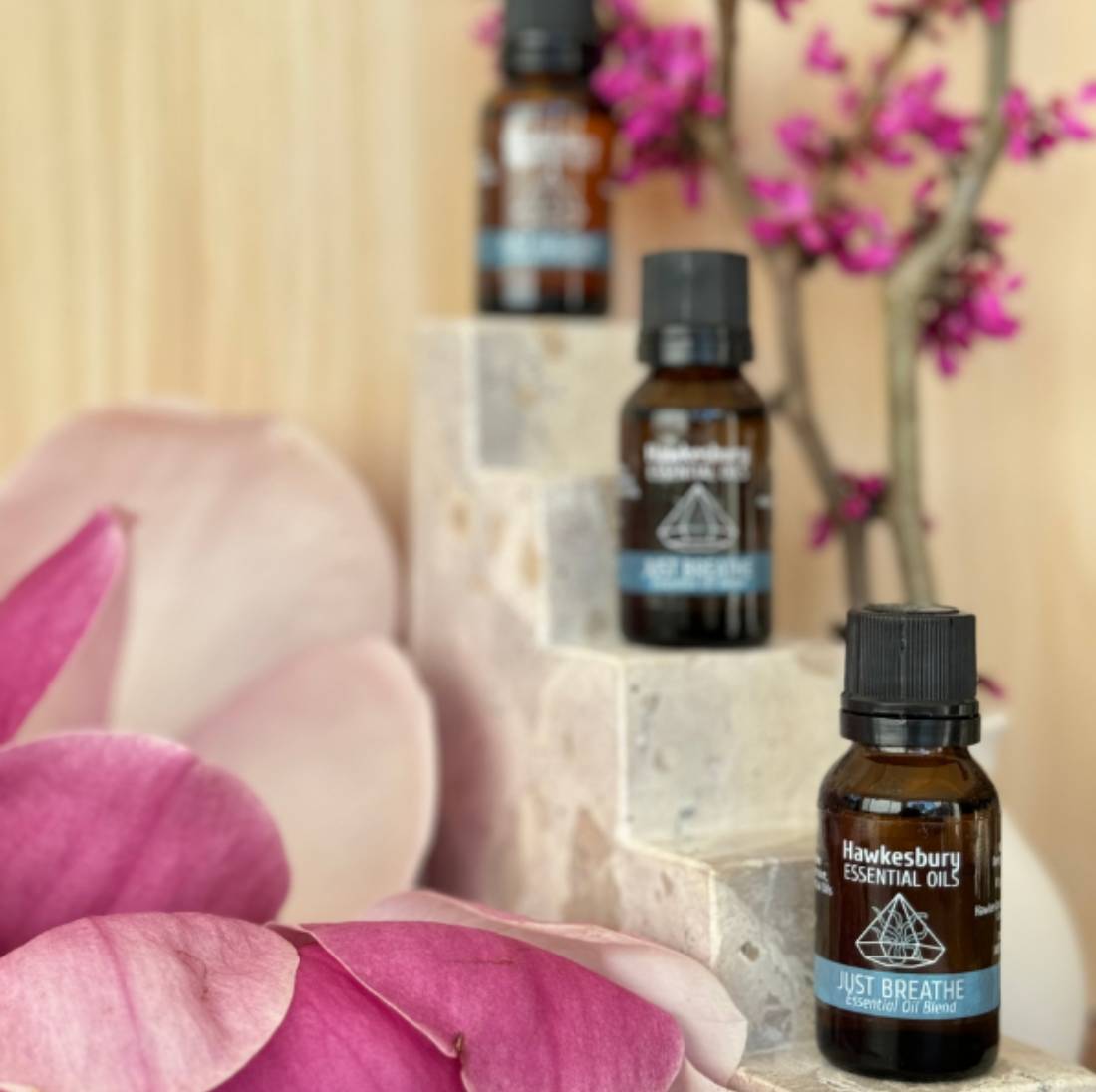 New Project (1) (5) (12)