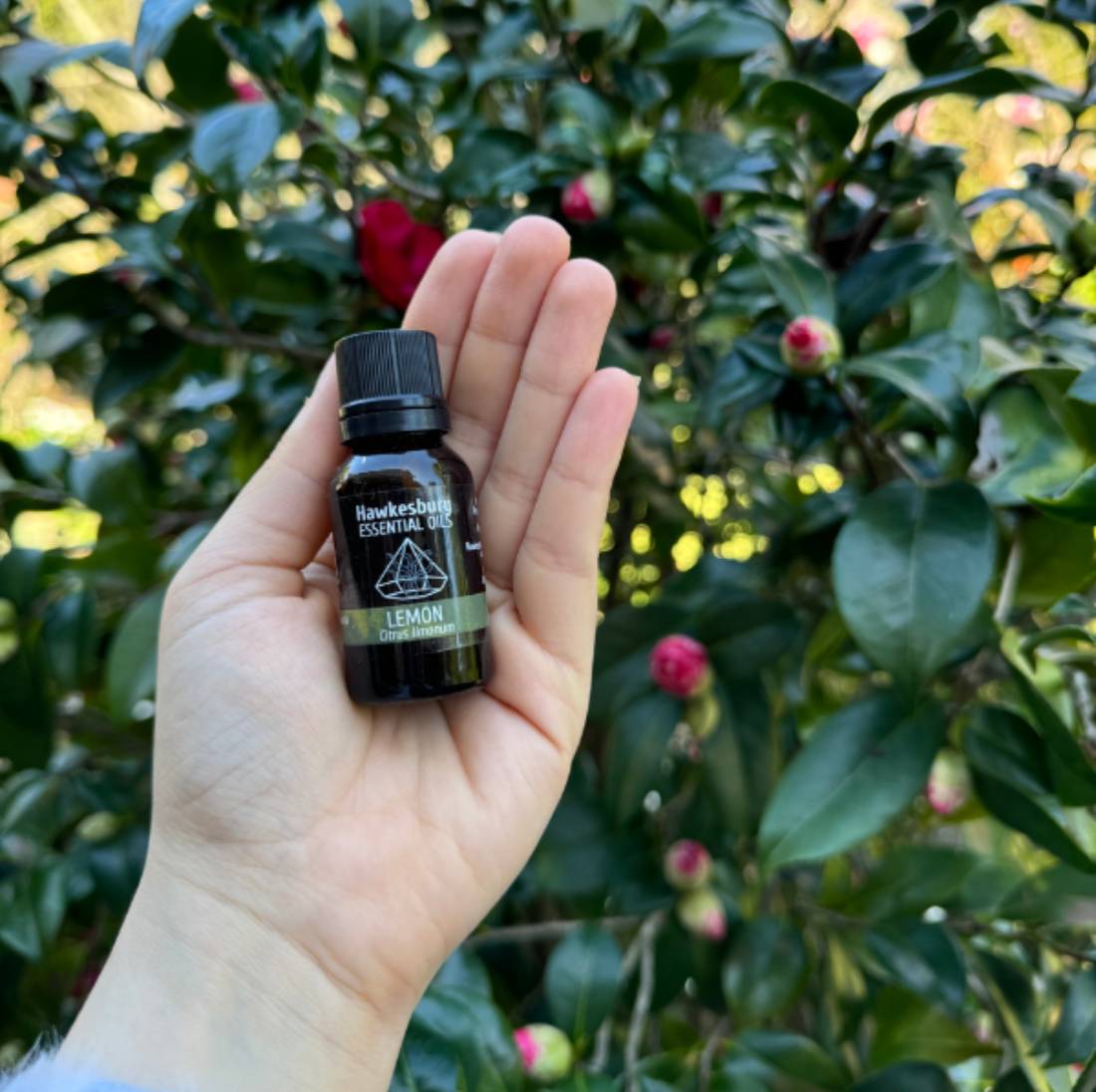 New Project (1) (5) (14)