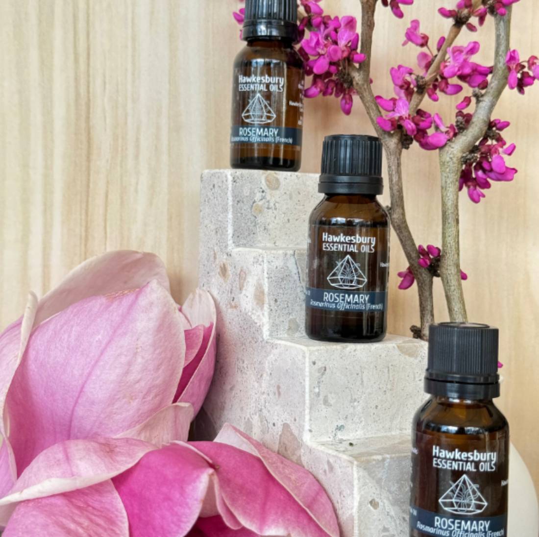 New Project (1) (5) (18) (17)