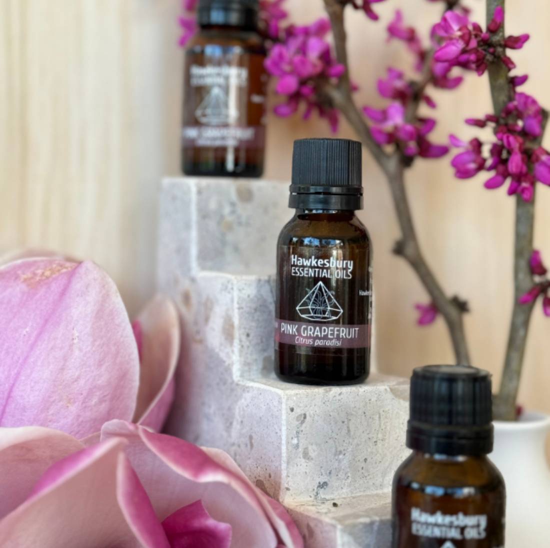 New Project (1) (5) (18) (3)