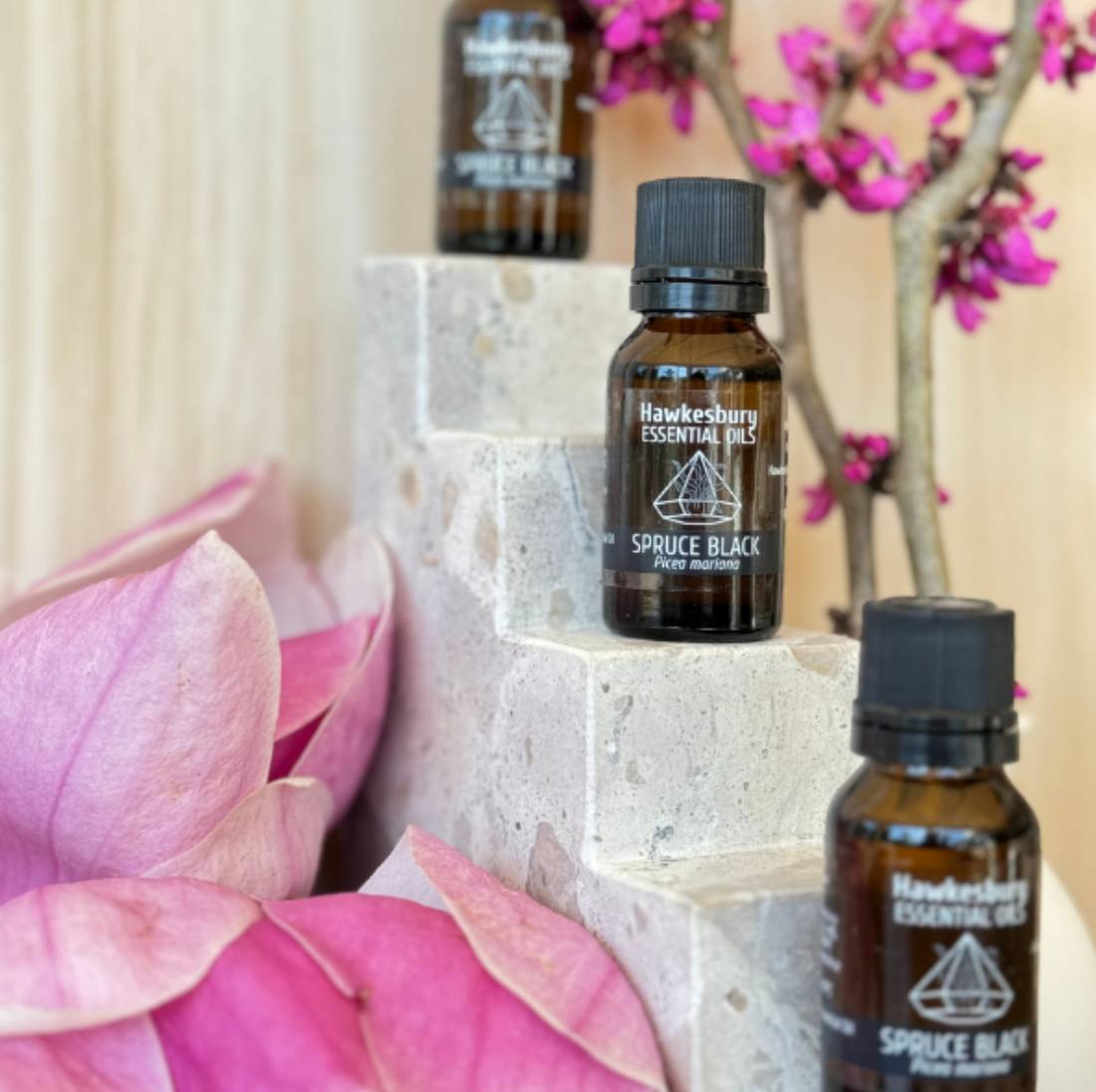 New Project (1) (5) (18) (31)