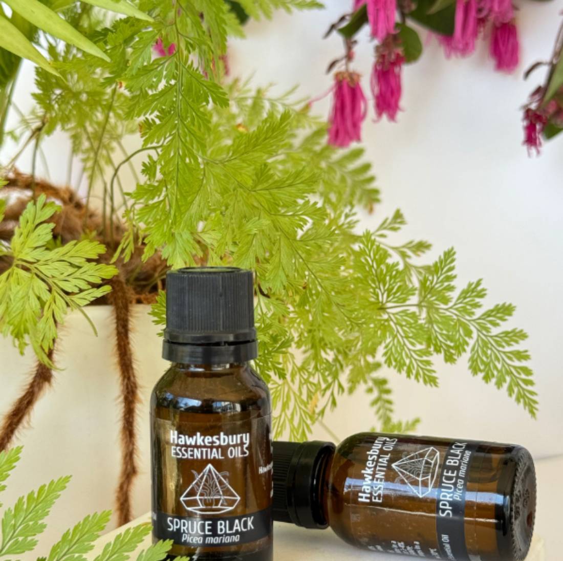 New Project (1) (5) (18) (32)