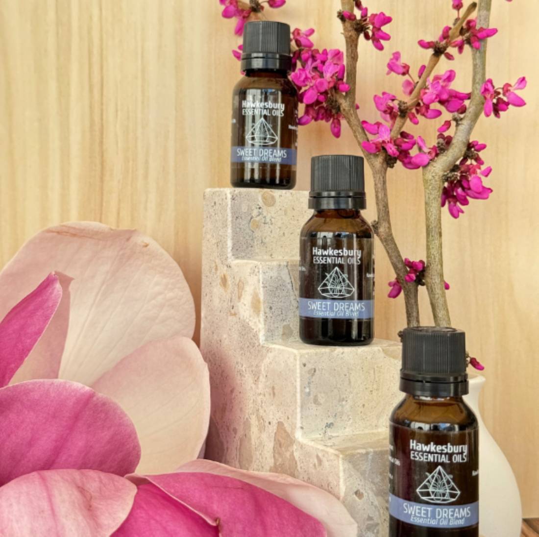 New Project (1) (5) (18) (36)