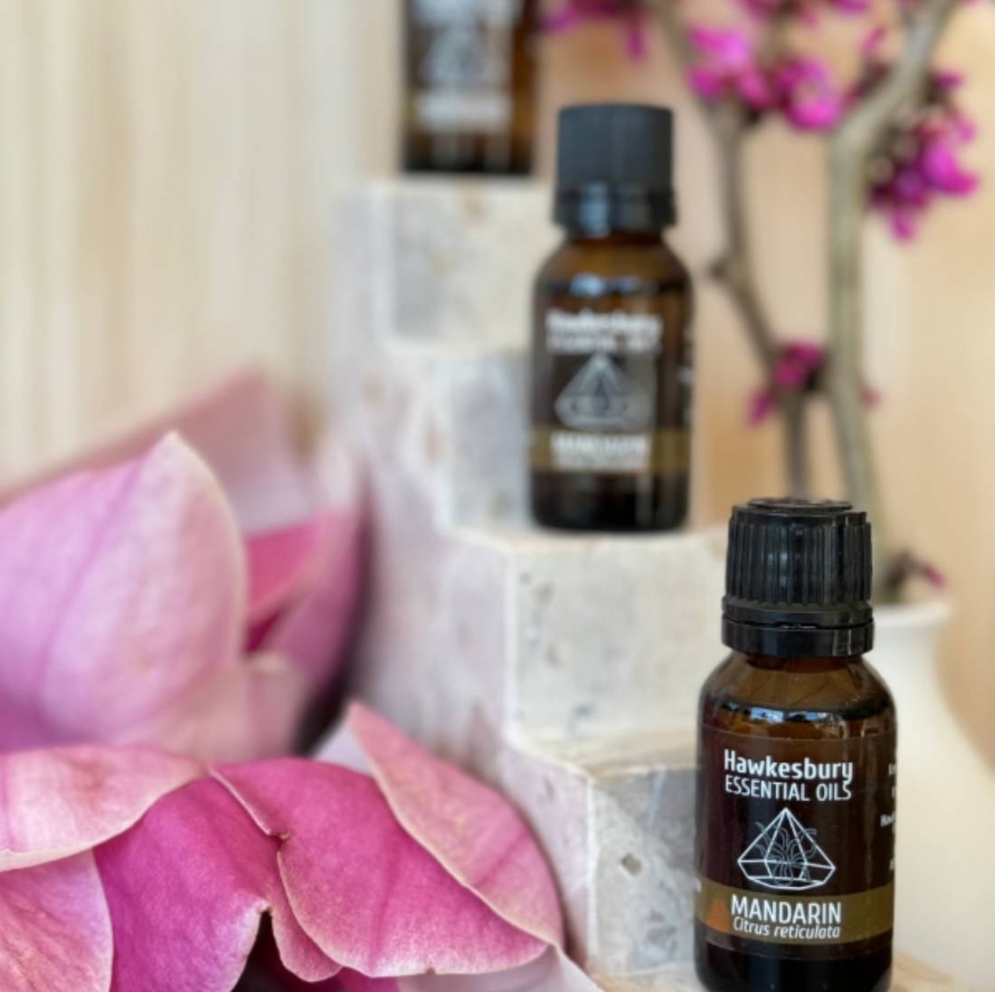 New Project (1) (5) (24)