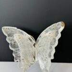 Clear Quartz Butterfly