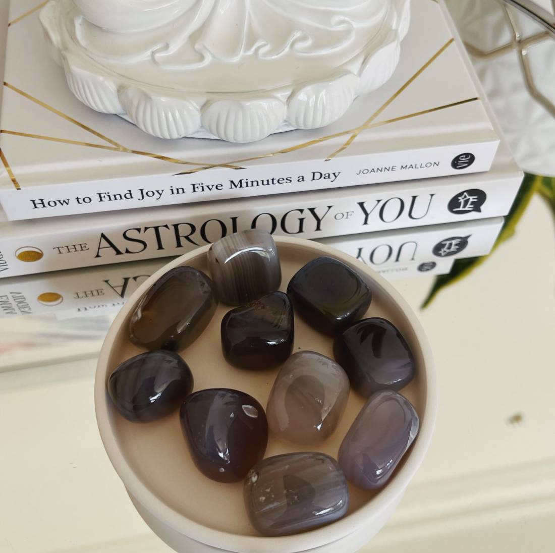 New Project (1) (5) (25) (46) (23) (4) (31) (33) (7)