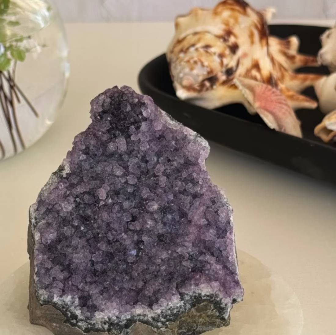 New Project (1) (5) (25) (46) (23) (4) (31) (34)