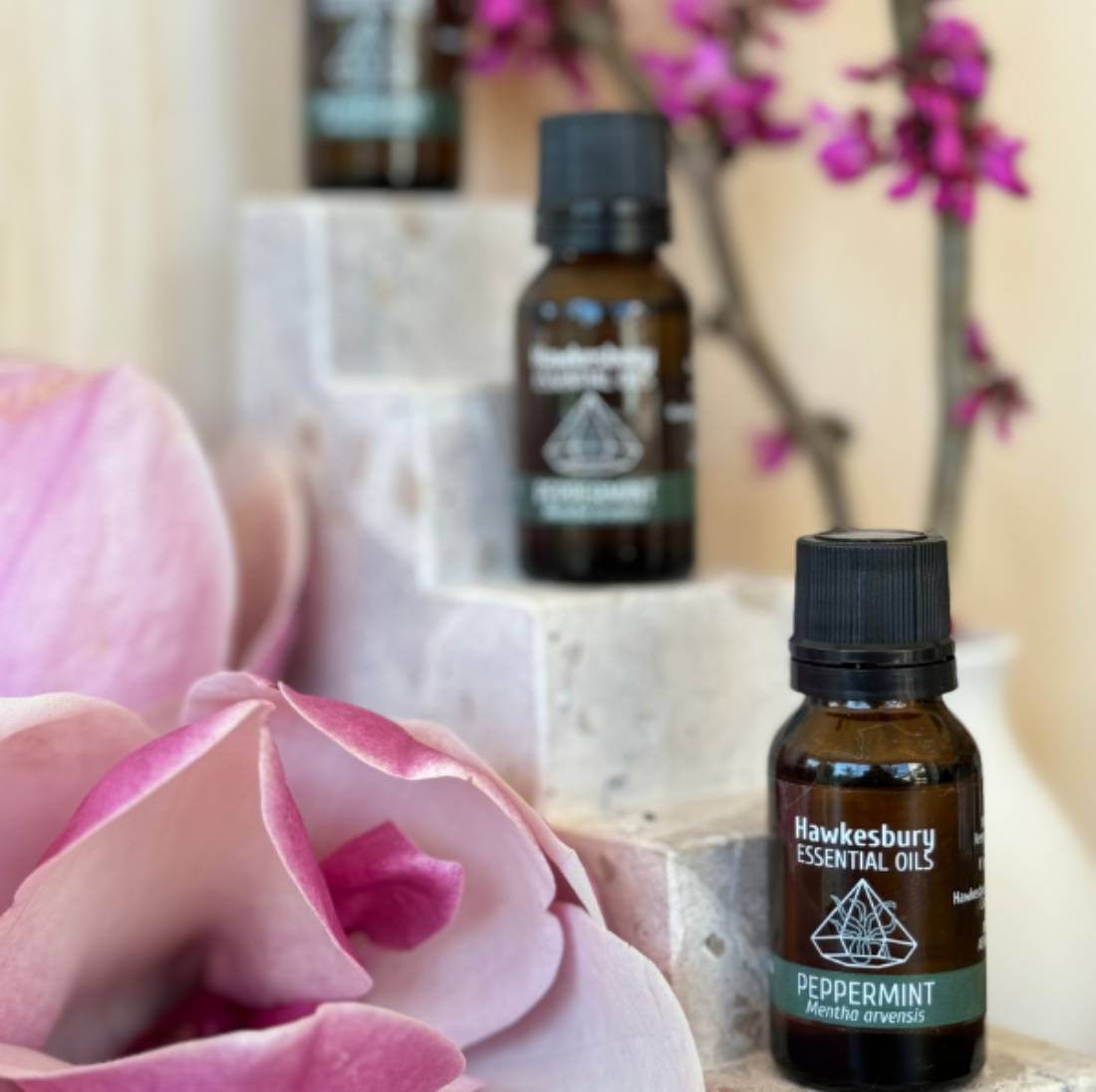 New Project (1) (5) (26)