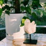 Clear Quartz Cluster