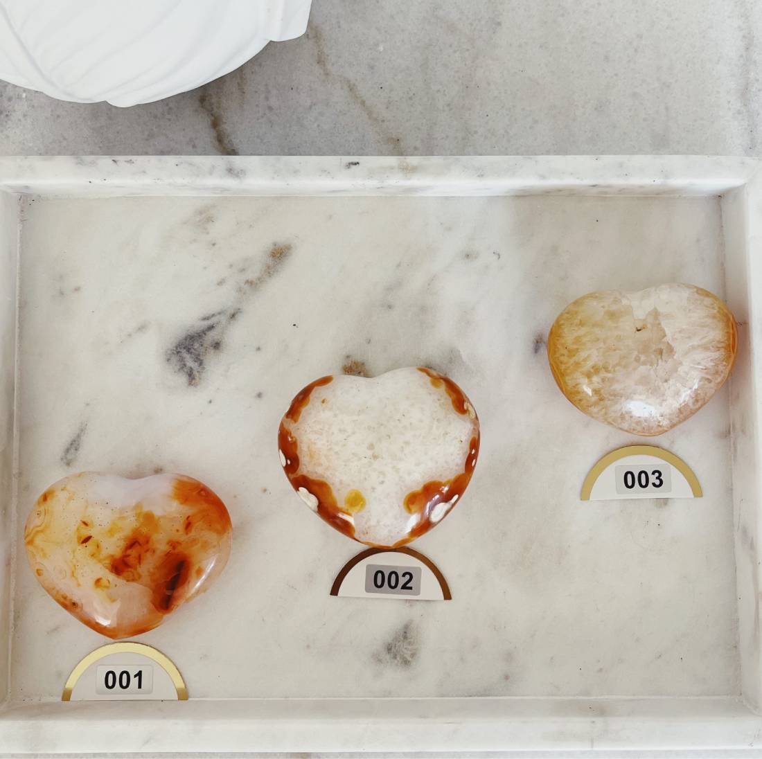 New Project (12) (2)