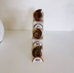 Ammonite Fossil - Image 4