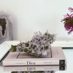 Vera Cruz Amethyst Cluster - Image 5