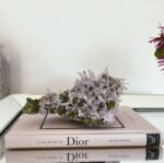 Vera Cruz Amethyst Cluster - Image 4