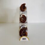 Ammonite Fossil - Image 2