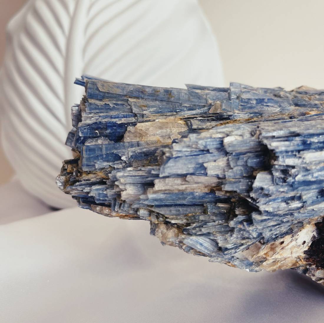 New Project (12) (9) (16) (9) (1)