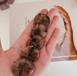 Chiastolite Flat Stone