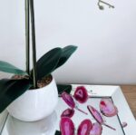 Agate Butterfly Dyed Pink (Pick your own) - Image 2