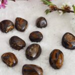 Boulder Opal Tumbled Stone