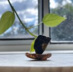 Tektite Tumbled Stone