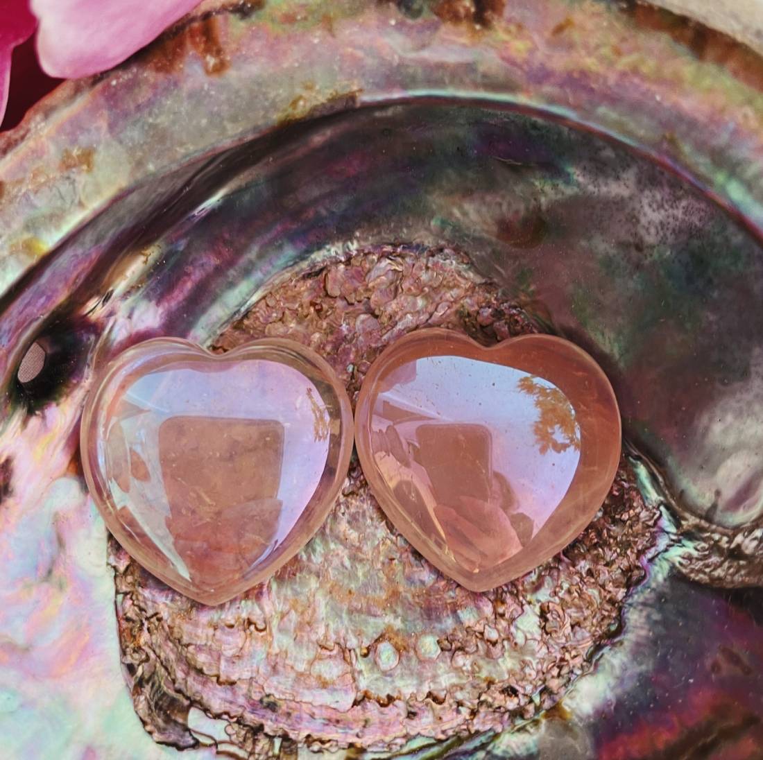 New Project (19) - 2025-08-27T023702.244 (26) (12)