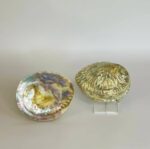 Abalone Shell Large - Image 4