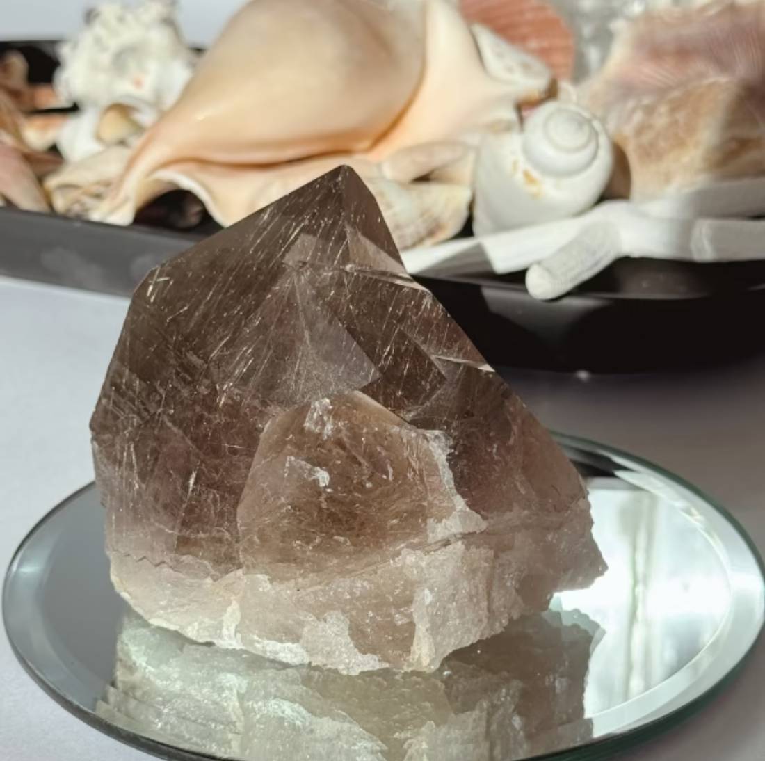 New Project (32) (1)