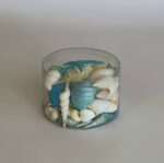 Seashell and Corals Turquoise