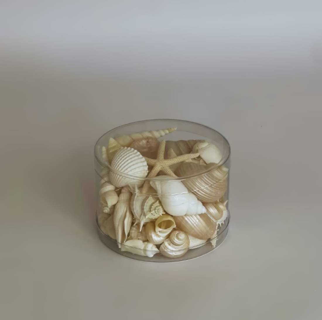 New Project (32) (12)