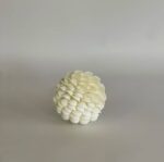 Scallop Shell Sphere - Image 3