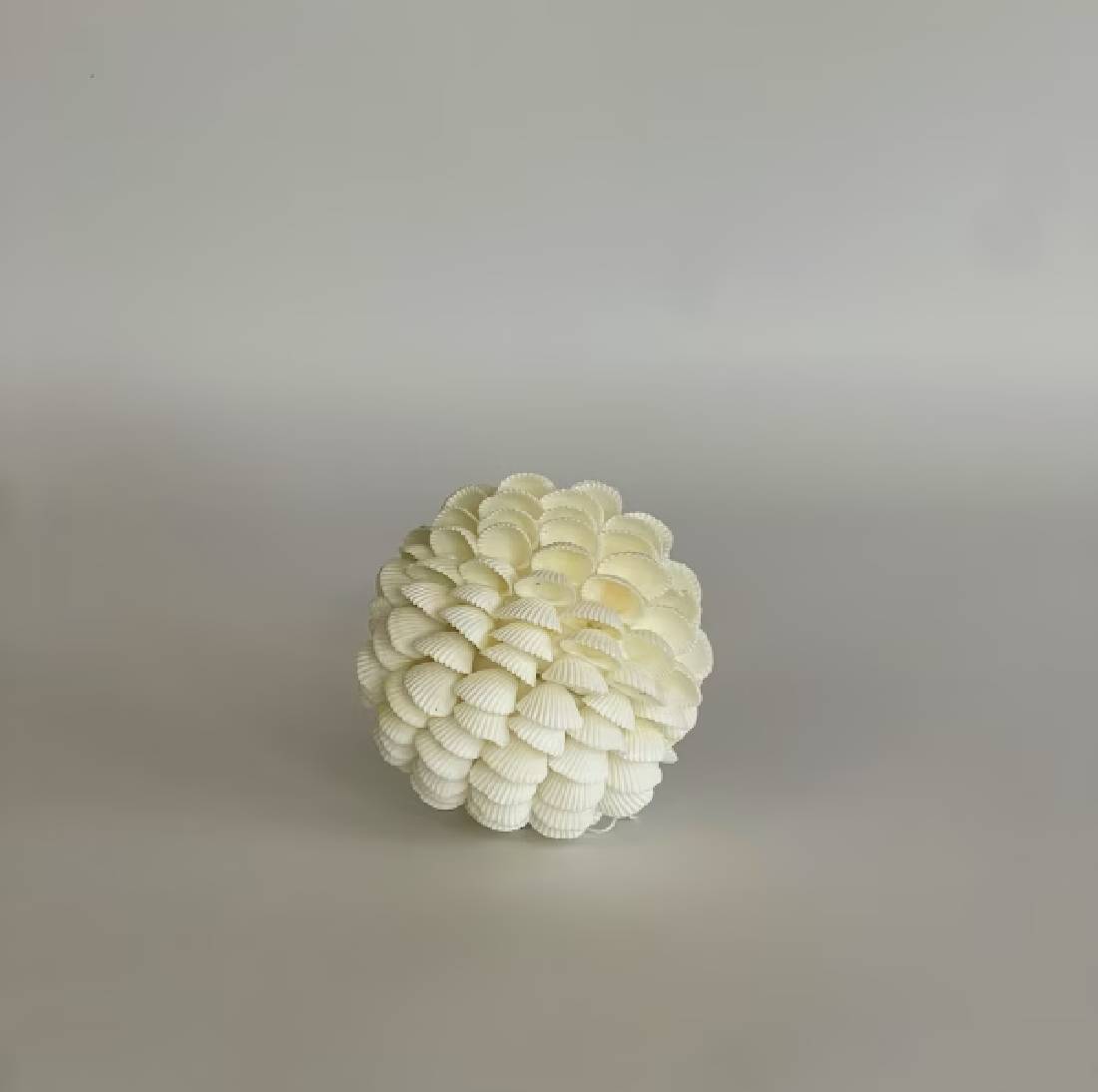 New Project (32) (15)