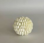 Scallop Shell Sphere - Image 2