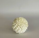 Scallop Shell Sphere