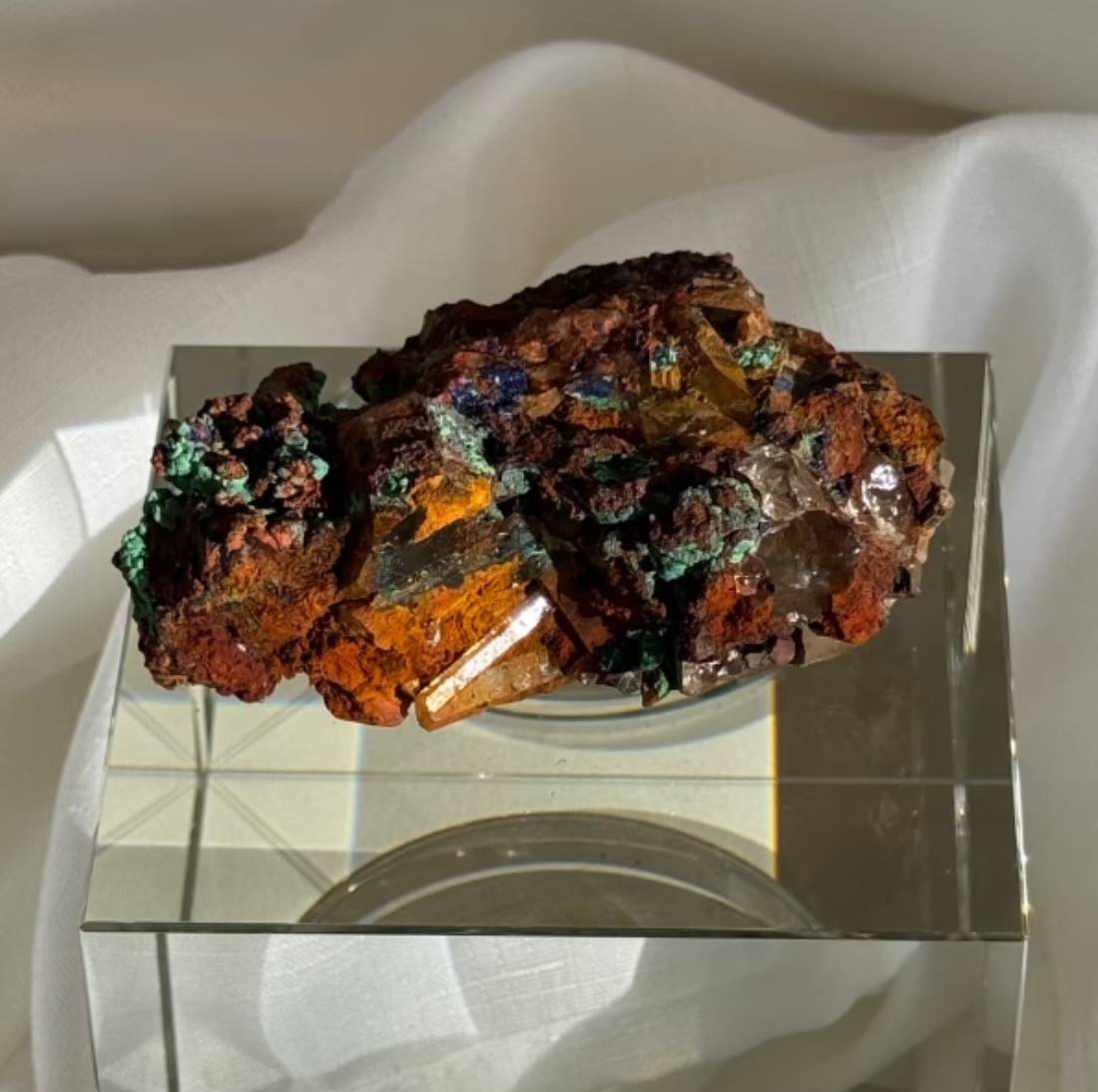 New Project (32) (18)