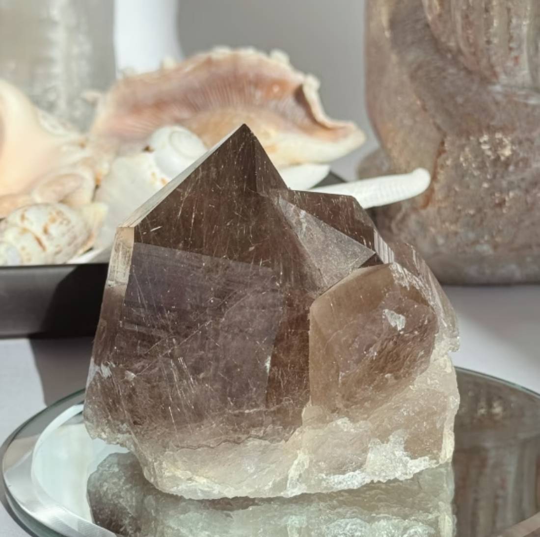 New Project (32) (2)