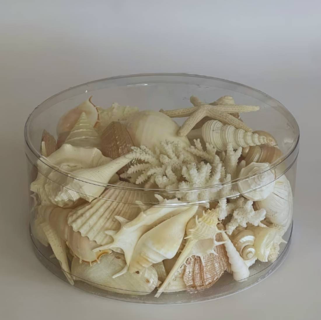 New Project (32) (23)